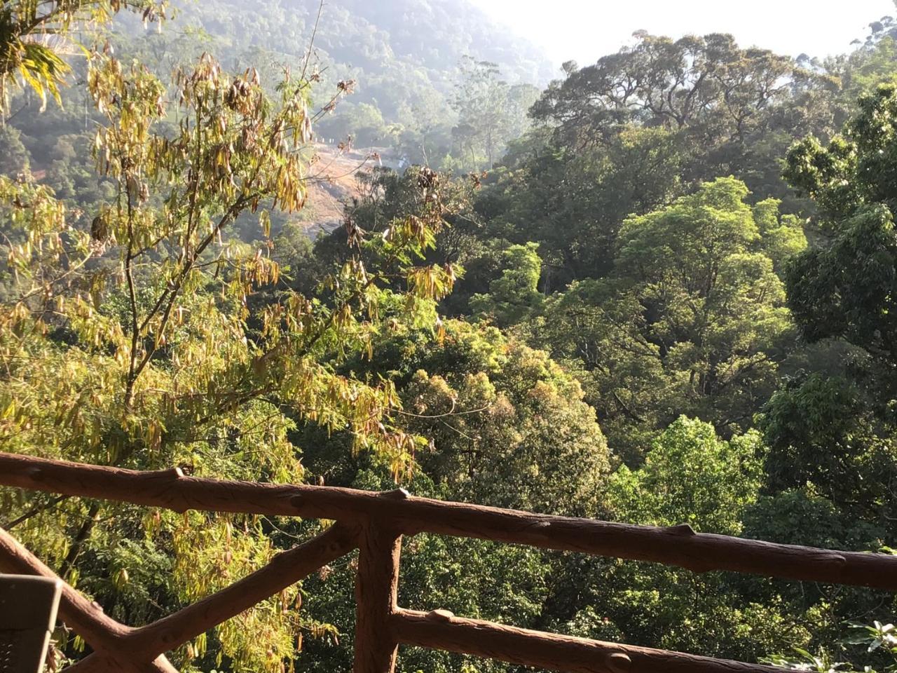 Wild Elephant Eco Friendly 3*
