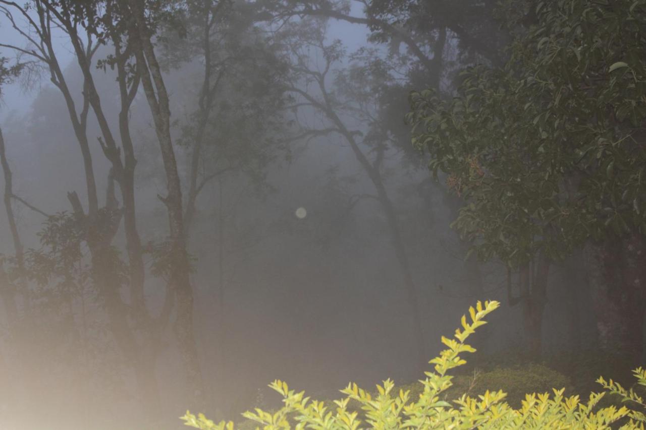 The Cliff Resort, Resort Munnar