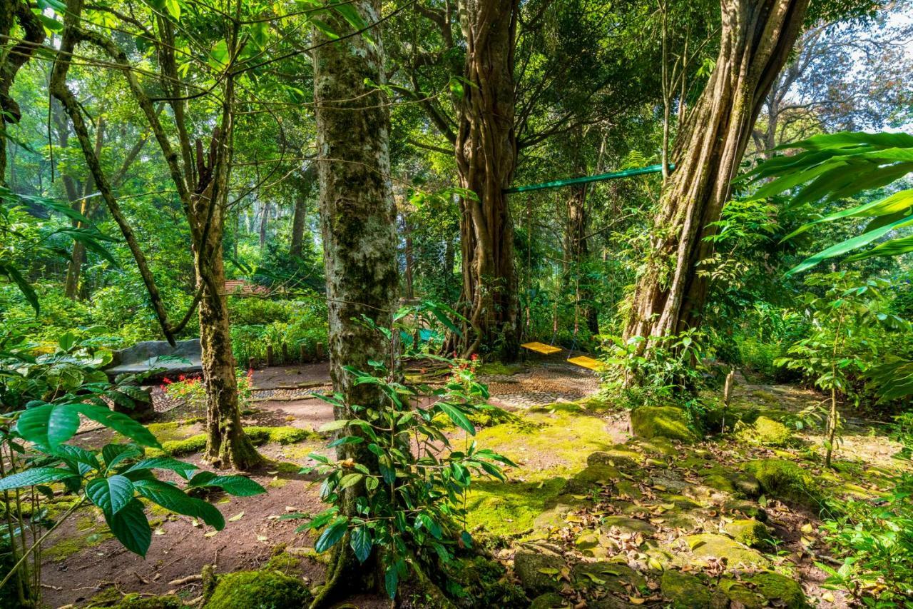 The Tall Trees Resort Munnar