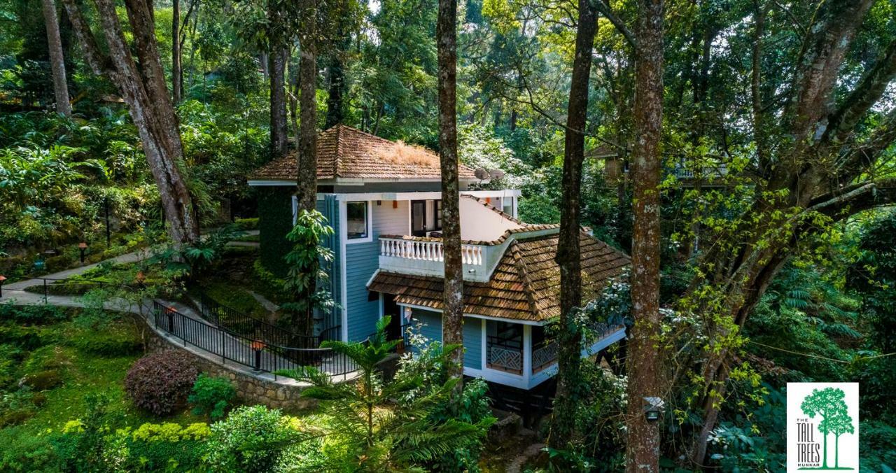 Resort The Tall Trees