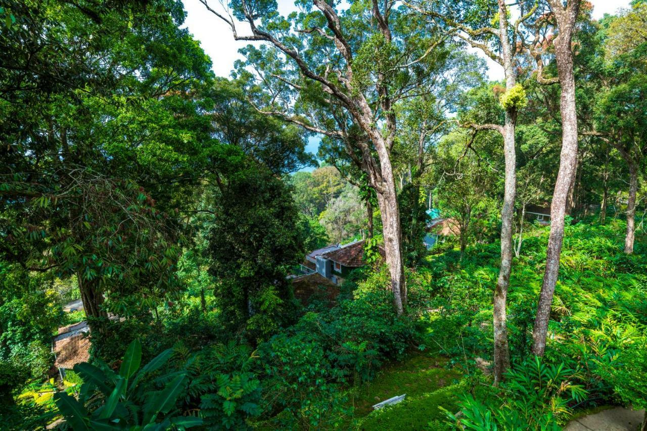 The Tall Trees 4* Munnar