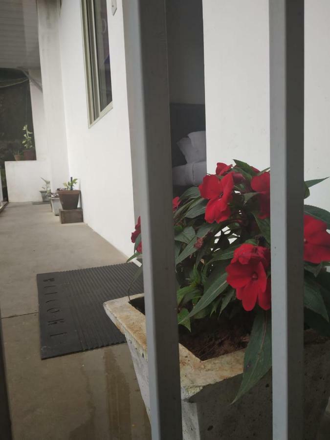 Landy Queen Bed & Breakfast Munnar