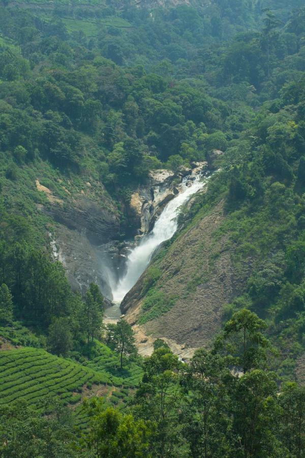Aranyaka Resort Munnar