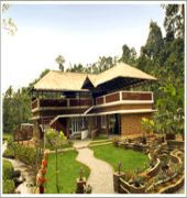 Falling Waters Hotel Munnar