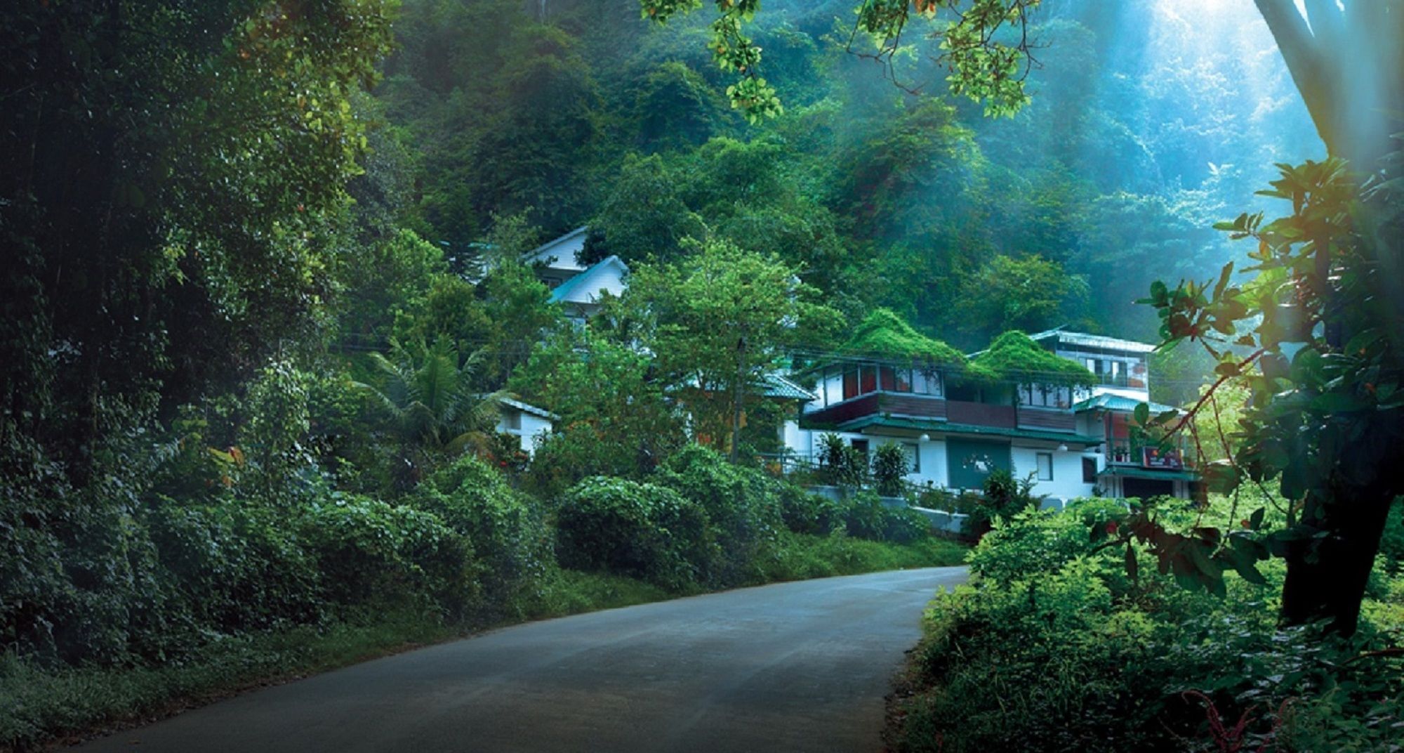 Bellavista 3* Munnar