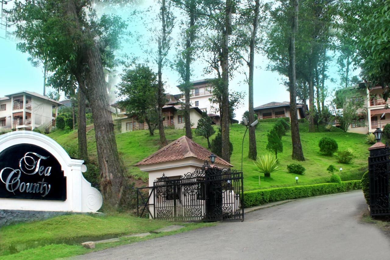 Tea County Resort 4*