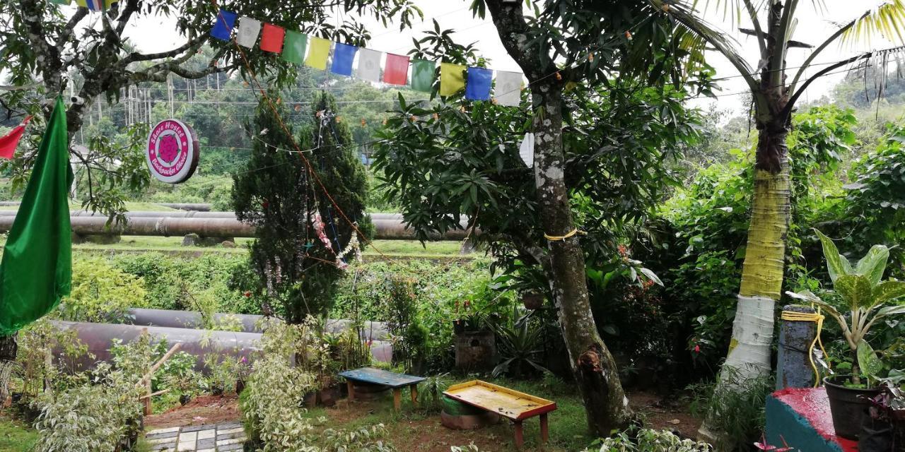 Hostel Share