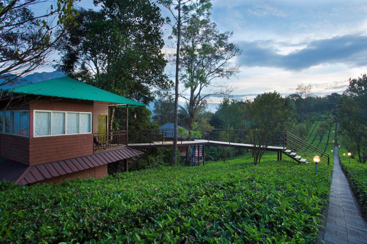 Resort Dream Catcher Plantation